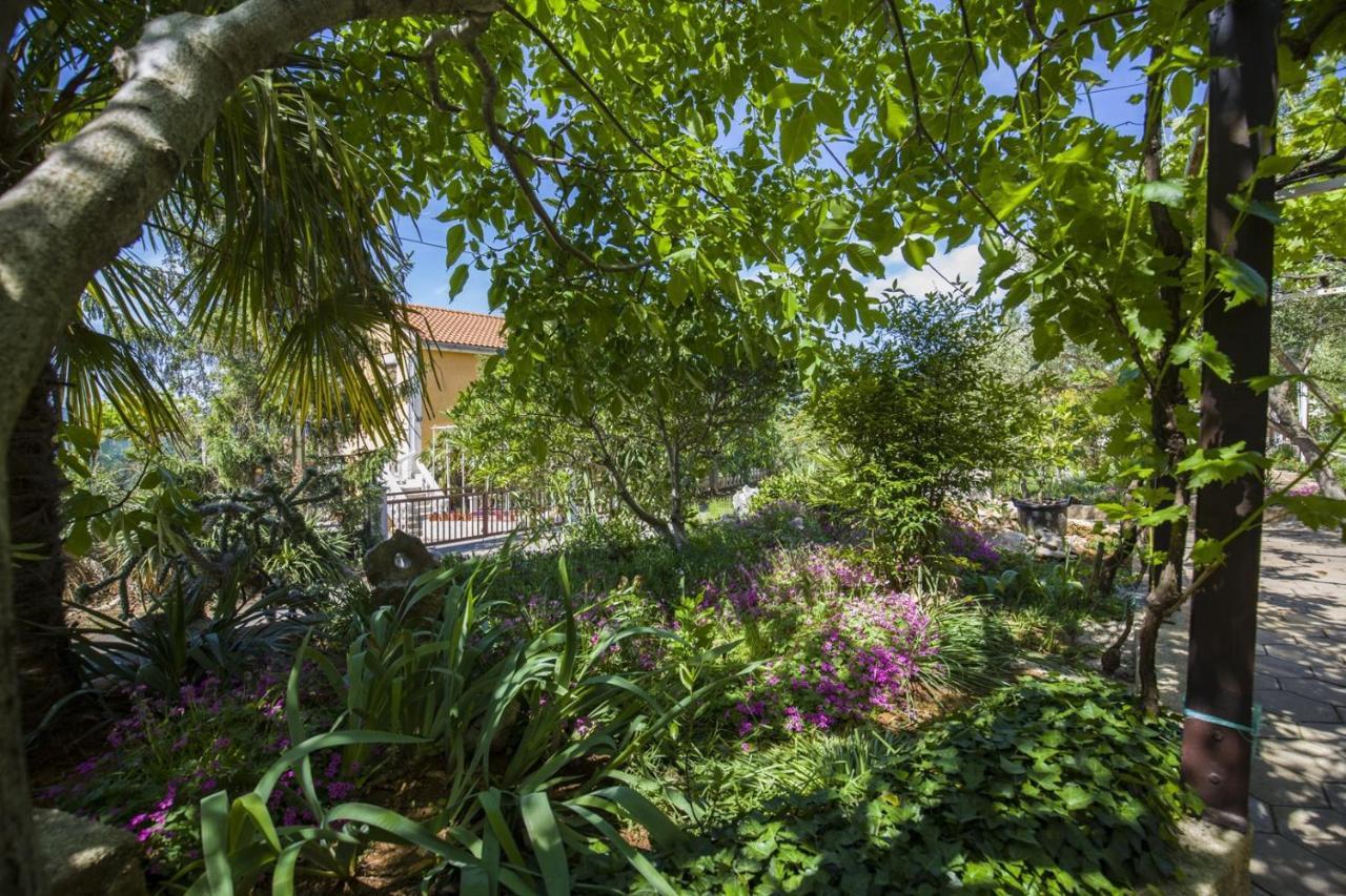 Apartment Vili Pinezići Exteriér fotografie